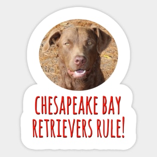 Chesapeake Bay Retrievers Rule! Sticker